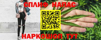 индика Гудермес