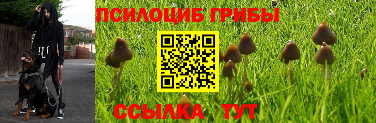 Галлюциногенные грибы мухоморы Волжский