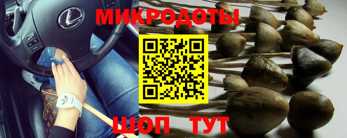 Волжский  Галлюциногенные грибы GOLDEN TEACHER  Псилоцибиновые грибы MAGIC MUSHROOMS  Вход с VPN 